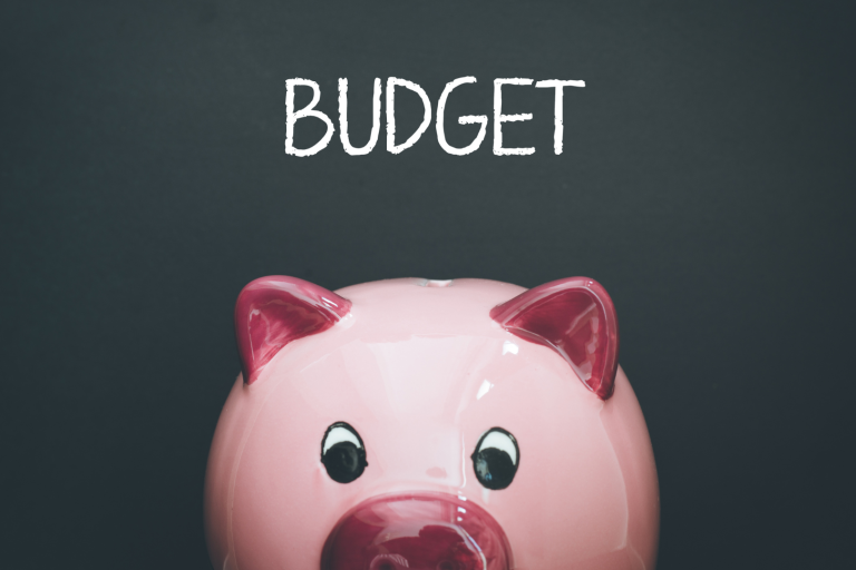 Piggy Bank and budget text
