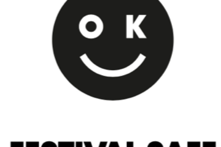 Festival Safe logo
