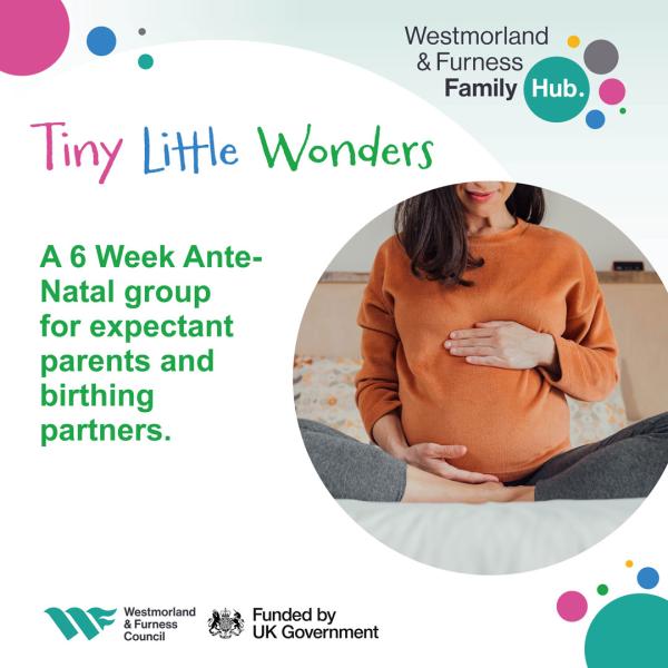 Tiny Little Wonders poster